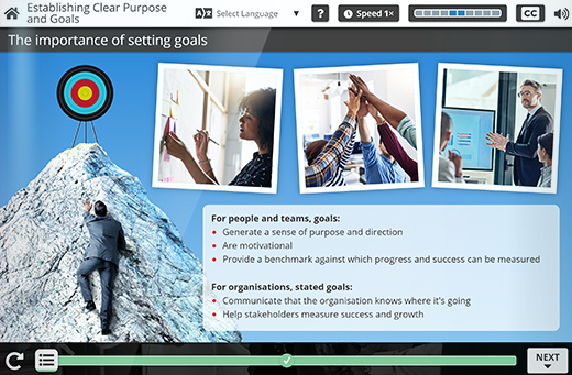 Goals and Guidelines for High Performance