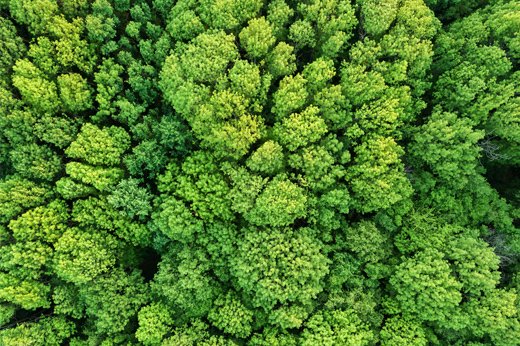 What is the Purpose of Environmental Awareness?